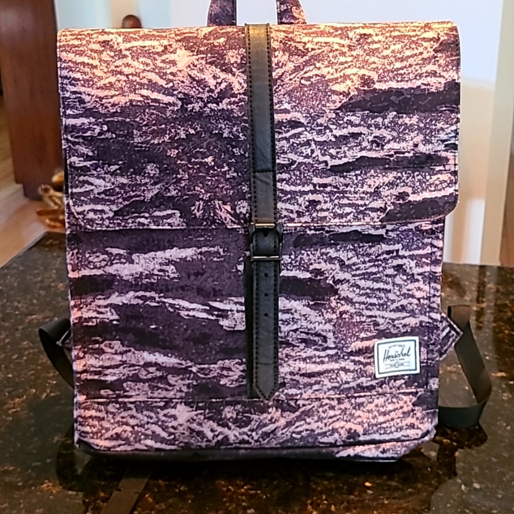 Herschel City Backpack View 2